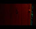 PDVD_491
