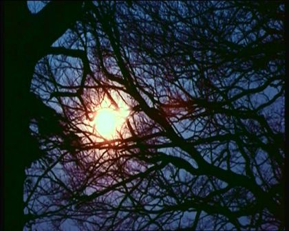PDVD_001.jpg