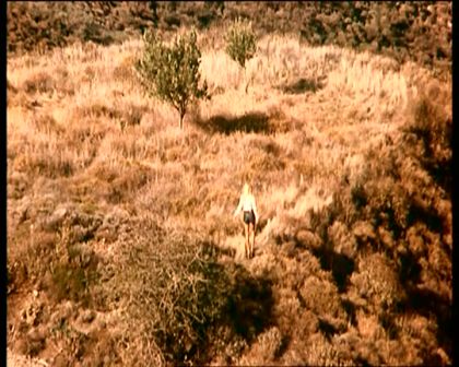 PDVD_336.jpg