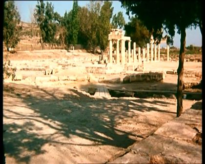 PDVD_344.jpg