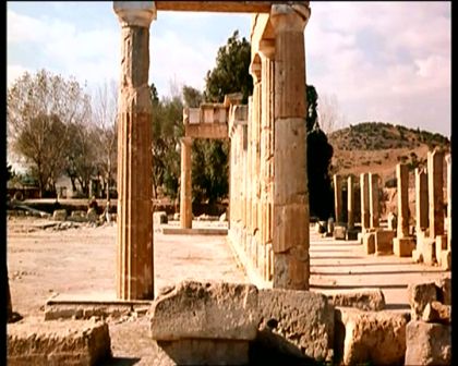 PDVD_561.jpg