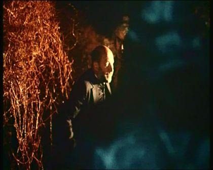 PDVD_793.jpg