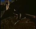 PDVD_1058