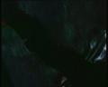 PDVD_1128
