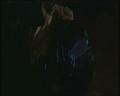 PDVD_1132