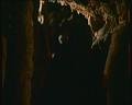 PDVD_1156