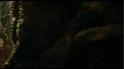 PDVD_303
