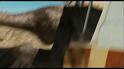 PDVD_648