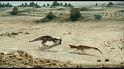 PDVD_696