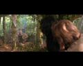 PDVD_102.jpg