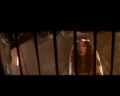 PDVD_180.jpg