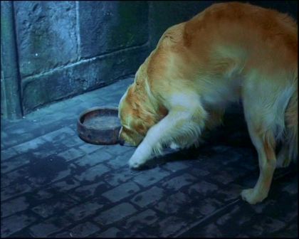 PDVD_1225.jpg