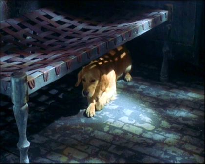 PDVD_1251.jpg