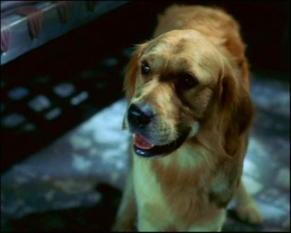 PDVD_1255.jpg