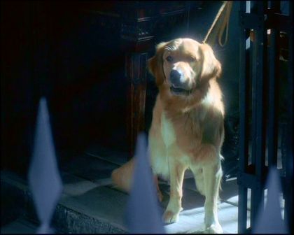 PDVD_1302.jpg