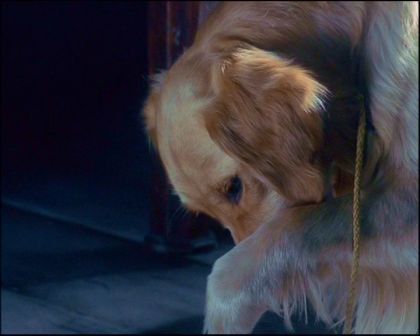 PDVD_1343.jpg