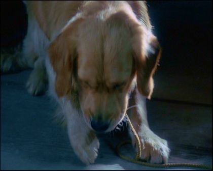 PDVD_1349.jpg
