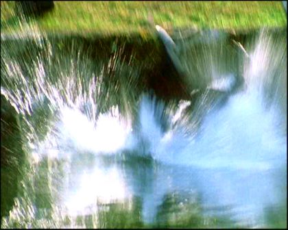 PDVD_1387.jpg
