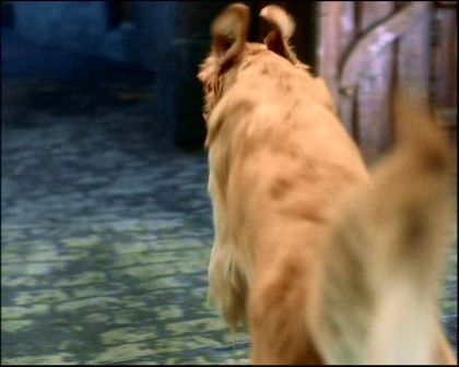 PDVD_170.jpg