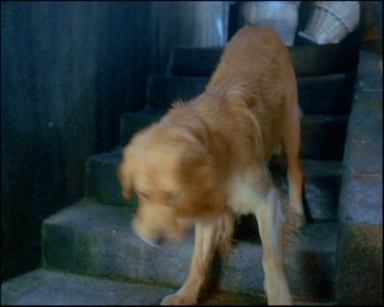 PDVD_219.jpg