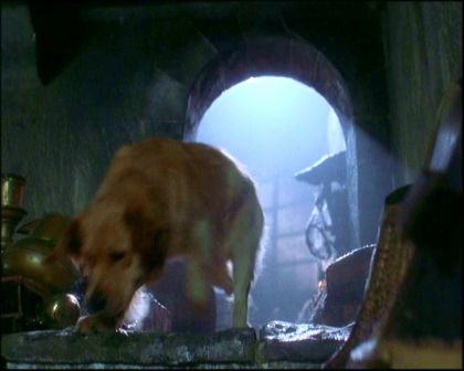 PDVD_231.jpg