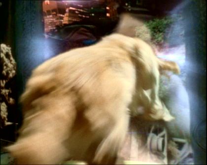 PDVD_255.jpg
