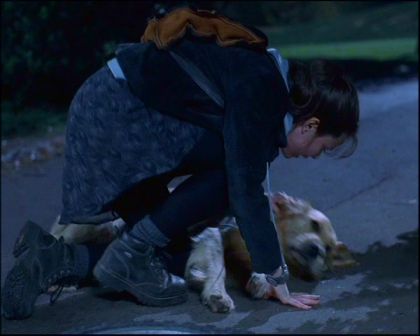 PDVD_314.jpg