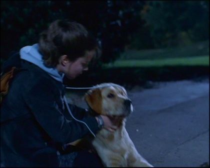PDVD_315.jpg