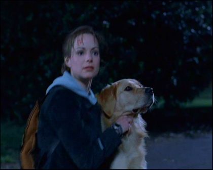 PDVD_317.jpg
