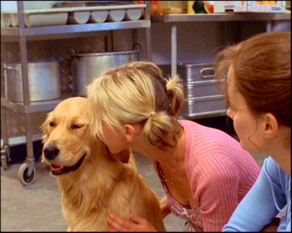 PDVD_380.jpg
