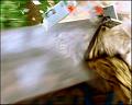PDVD_1037