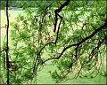 PDVD_1060
