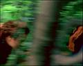 PDVD_1077