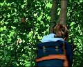 PDVD_1098