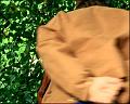 PDVD_1099