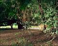 PDVD_1110