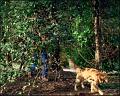 PDVD_1111
