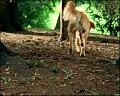 PDVD_1119