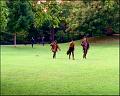 PDVD_1126