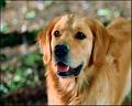PDVD_1129