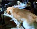 PDVD_1144