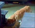 PDVD_1168