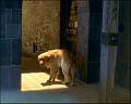 PDVD_1179