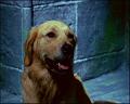 PDVD_1238