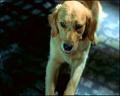 PDVD_1254
