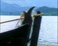 PDVD_1441