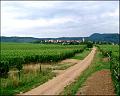 PDVD_1445