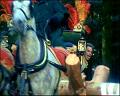 PDVD_1656