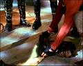 PDVD_1758