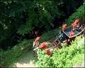 PDVD_1769